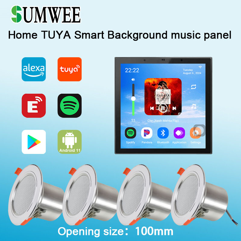 Audio Music For Background - 4 Inch Android 11 Tuya Smart