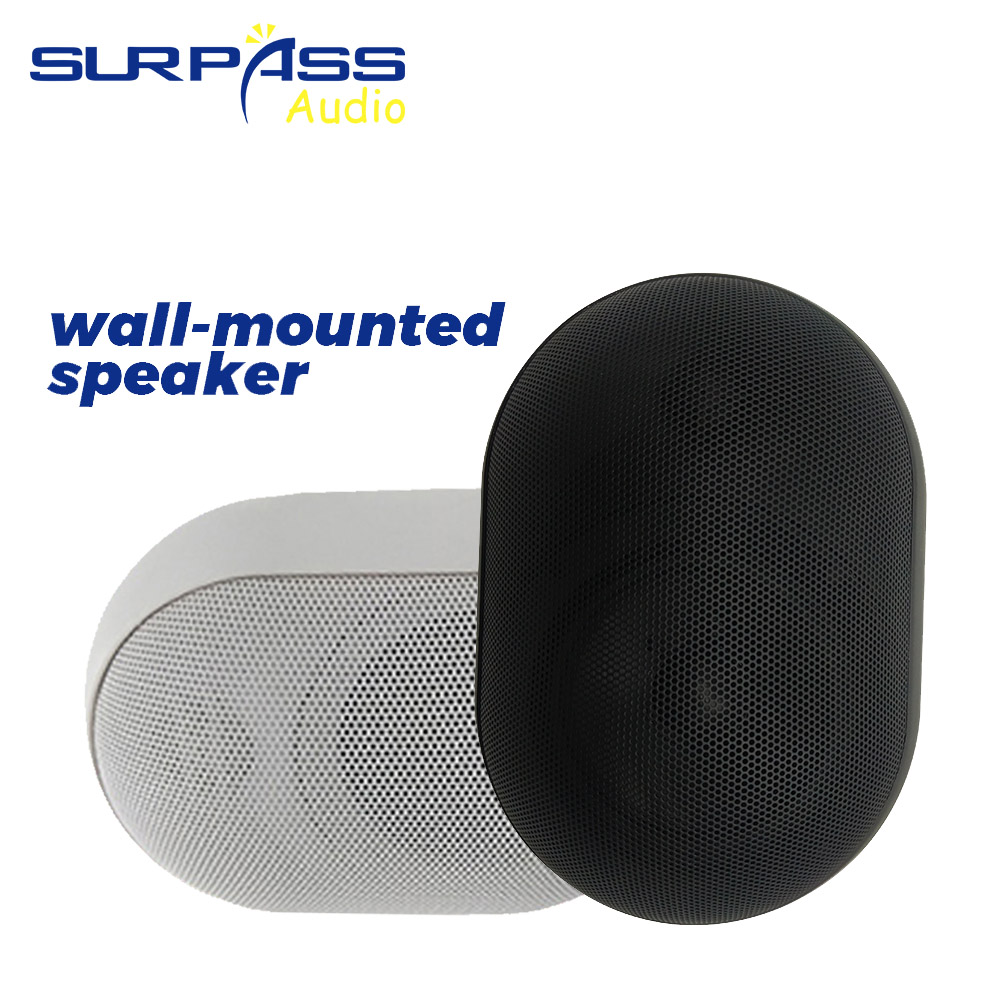 Audio Music For Background - 30W Wall-mounted Speaker Waterproof IP55 Public