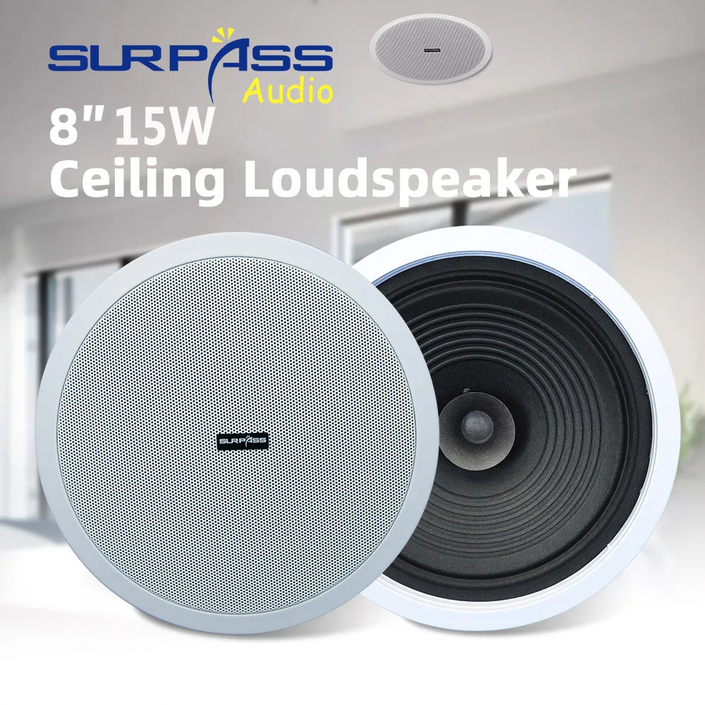 Home Audio Sound System 8inch  - Audio Music For Background 评论和价格
