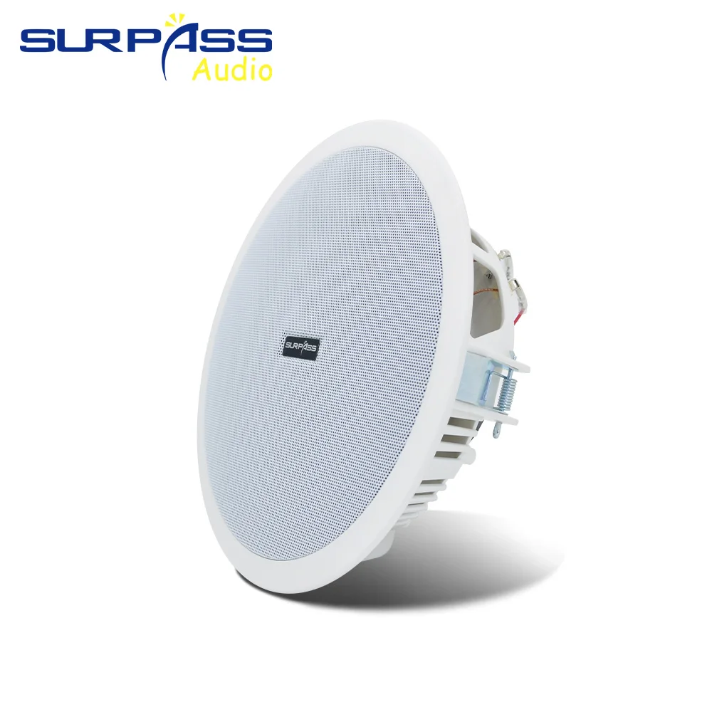 Home Audio Sound System 8inch  - Audio Music For Background 评论和价格