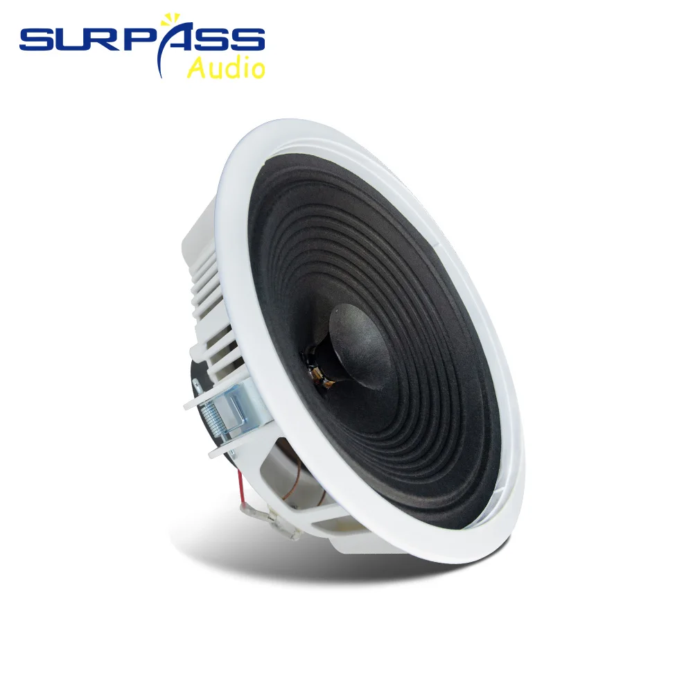 Home Audio Sound System 8inch  - Audio Music For Background 评论和价格