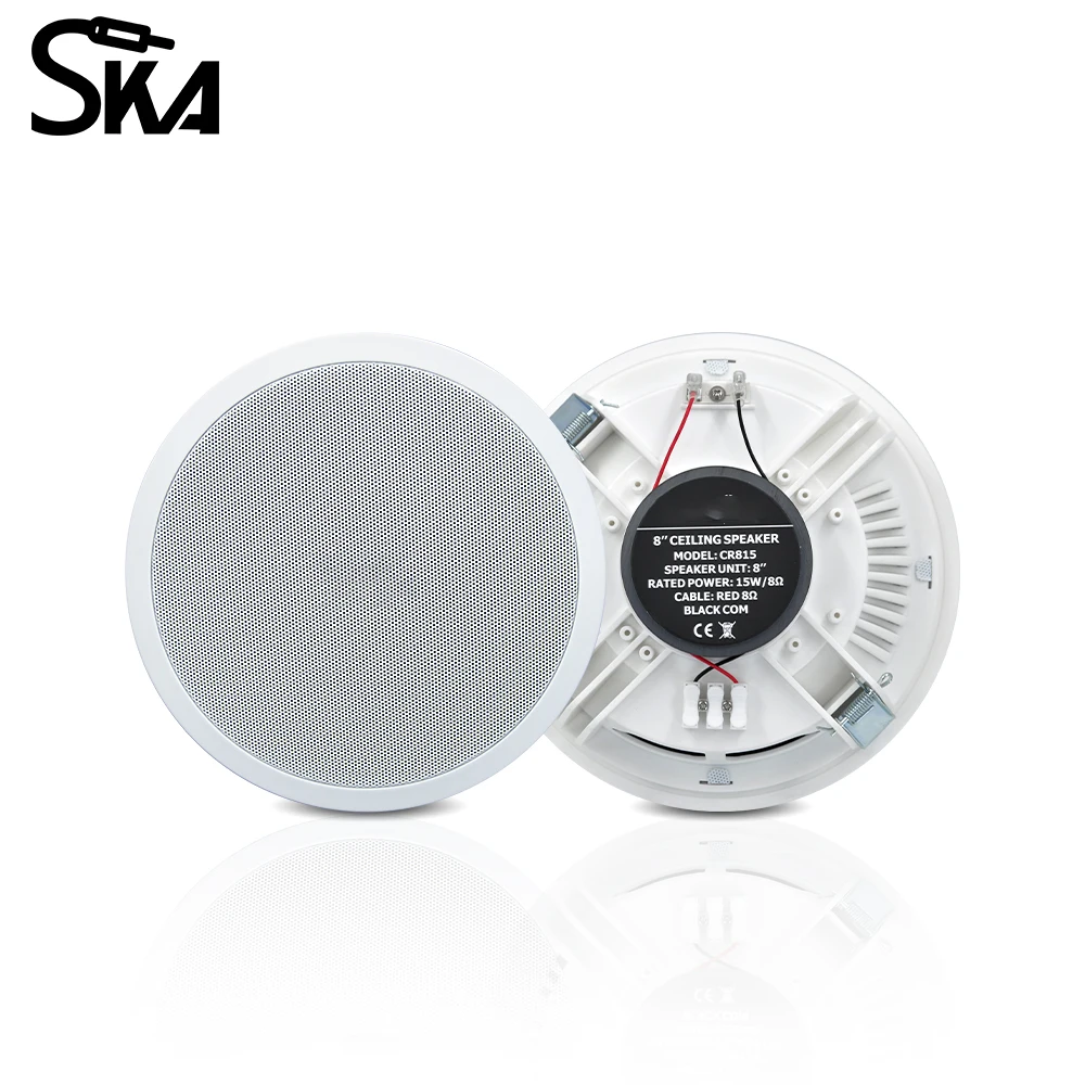 PW4420T+CR815 Smart Home Audio - Audio Music For Background 评论和价格