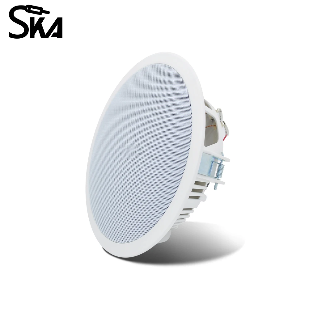 PW4420T+CR815 Smart Home Audio - Audio Music For Background 评论和价格