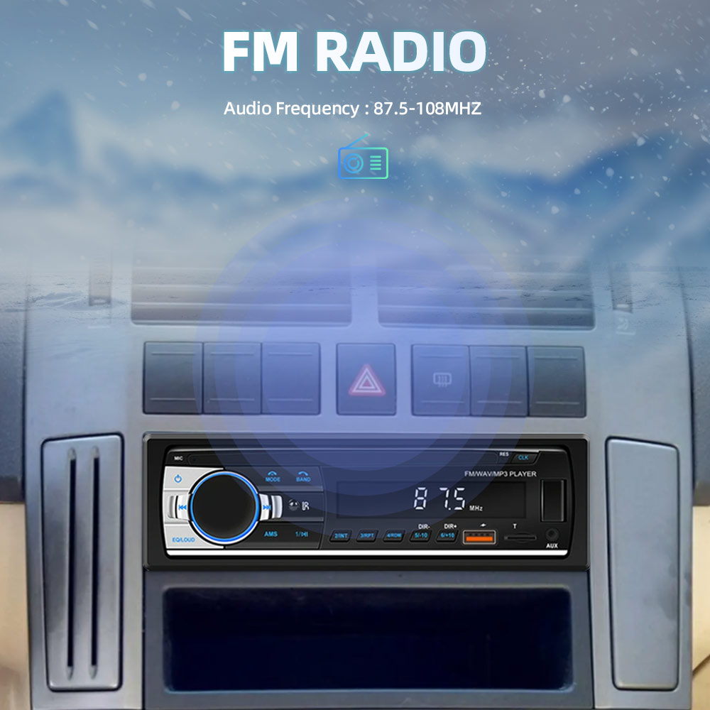 Car Radio 1 din Stereo Multime - Metronome Digital 评论和价格