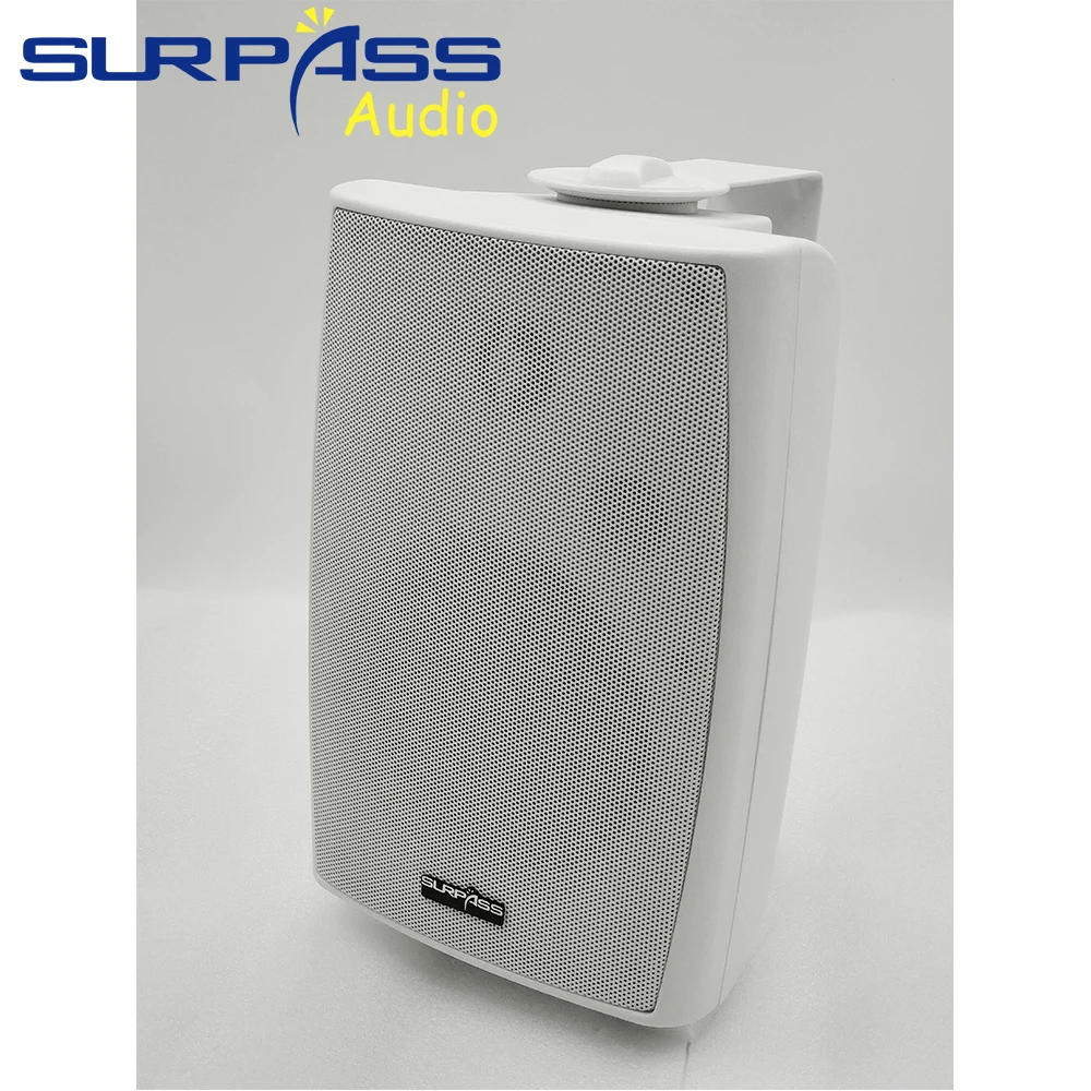 PA System Wall Mount Speaker A - Audio Music For Background 评论和价格