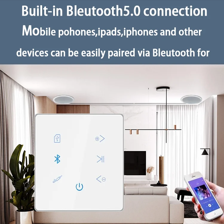 Bluetooth Wall Amplifier Home  - Audio Music For Background 评论和价格