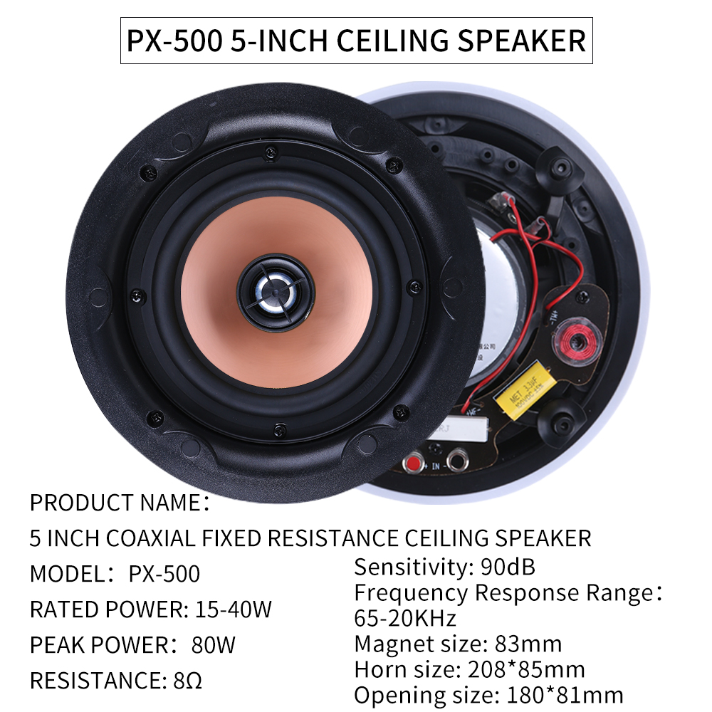 5.1 Home Theater Ceiling Speak - Audio Music For Background 评论和价格