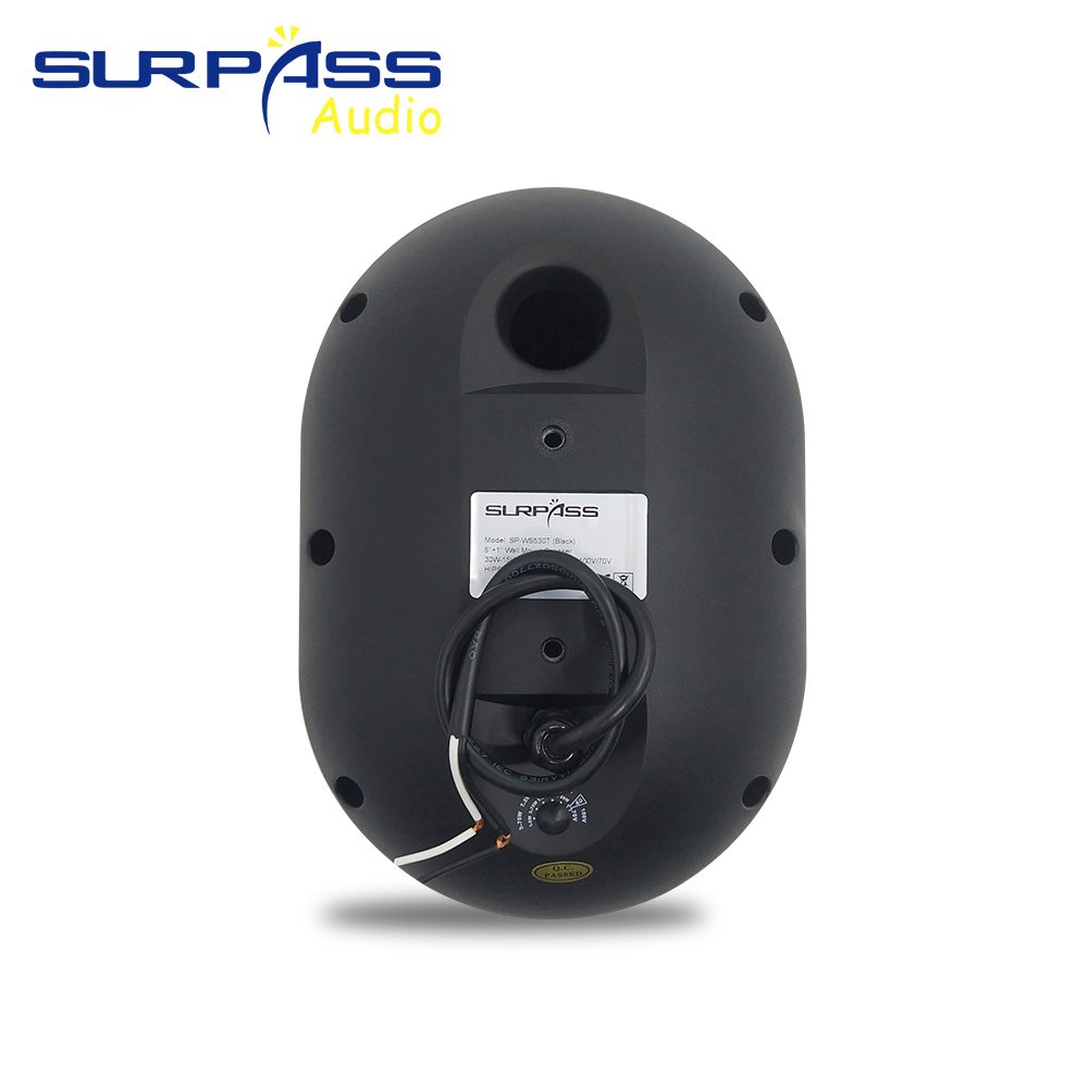 30W Wall-mounted Speaker Water - Audio Music For Background 评论和价格