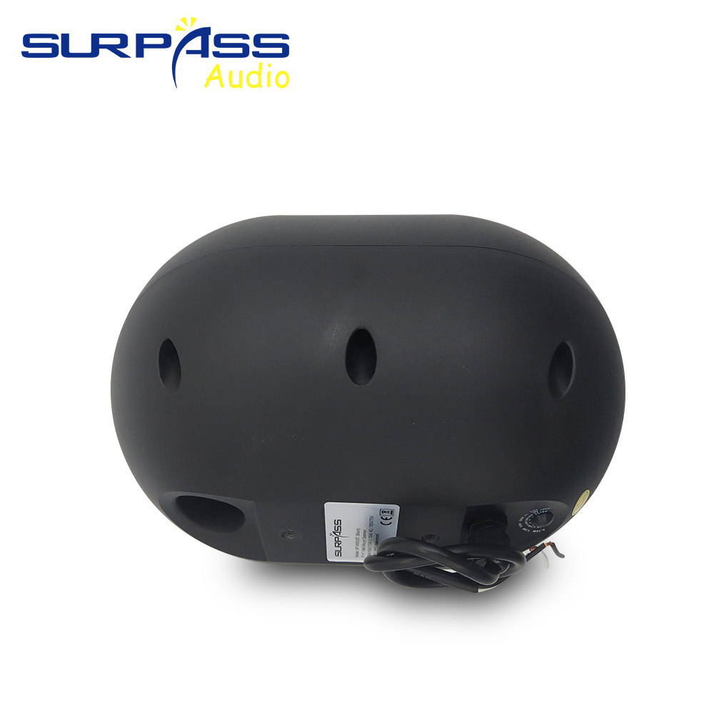 30W Wall-mounted Speaker Water - Audio Music For Background 评论和价格